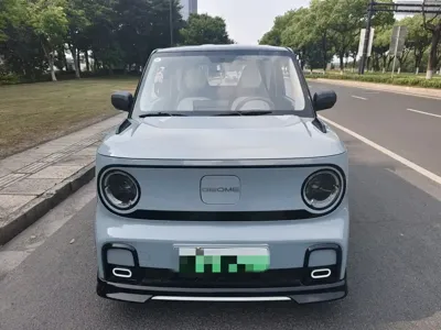 Galaxy Panda
