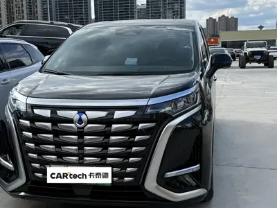 Denza Denza D9