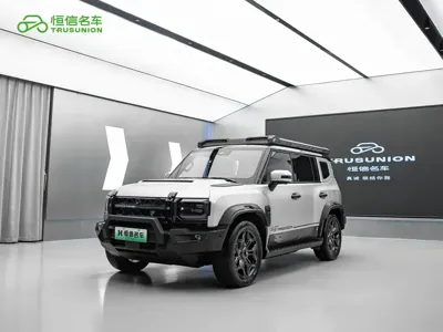 Shanhai 捷途旅行者C-DM