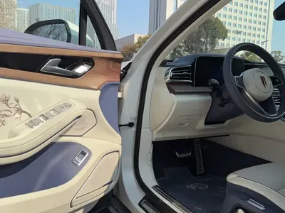 Hongqi Hongqi H9