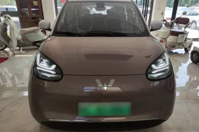 Wuling Bingo