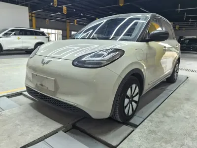 Wuling Bingo
