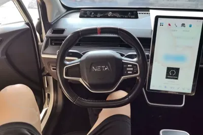 NETA V