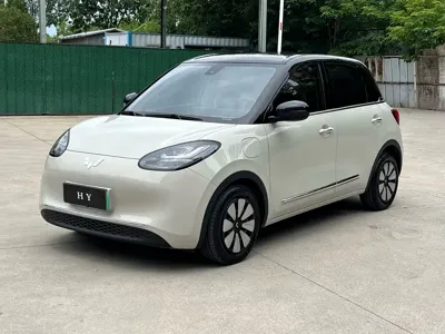 Wuling Bingo
