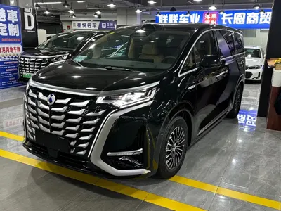 Denza Denza D9