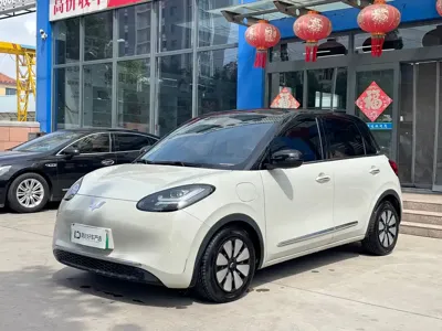 Wuling Bingo