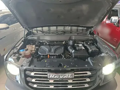 Haval Big Dog