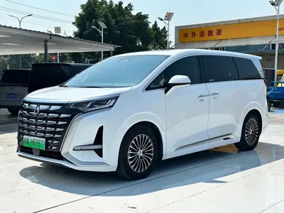 Denza Denza D9