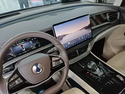 Denza D9