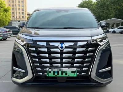 Denza Denza D9
