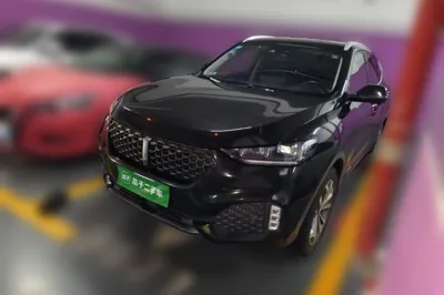 WEY VV6