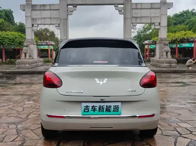 Wuling Bingo
