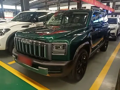 Haval 哈弗猛龙燃油