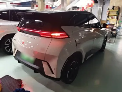 BYD Seagull