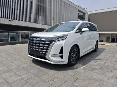 Denza Denza D9