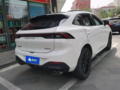 Fengxing Fengxing T5 EVO