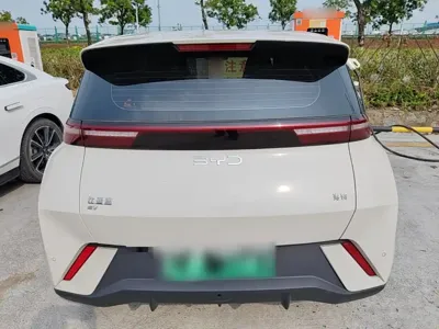 BYD Seagull