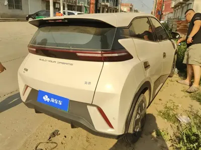 BYD Seagull