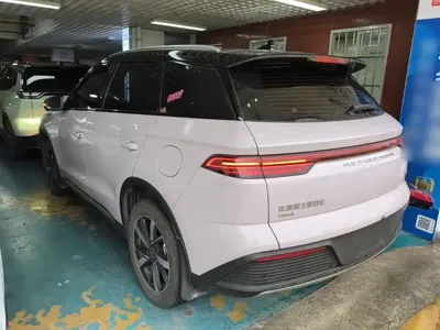 BYD Pro New Energy