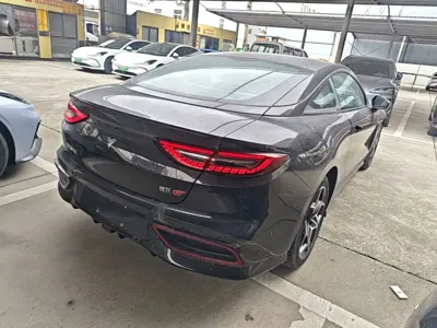 NETA Neta GT
