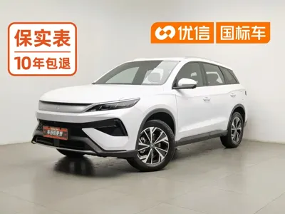 BYD Pro New Energy