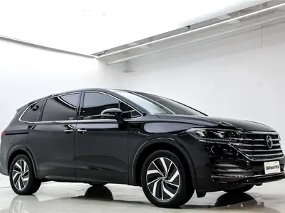 Volkswagen Viloran