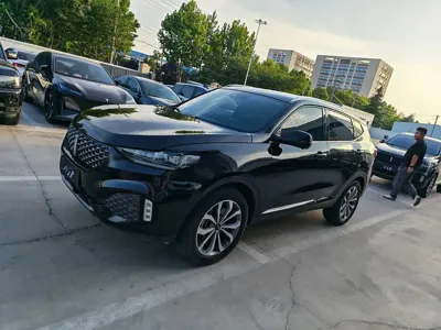 WEY Wey VV6