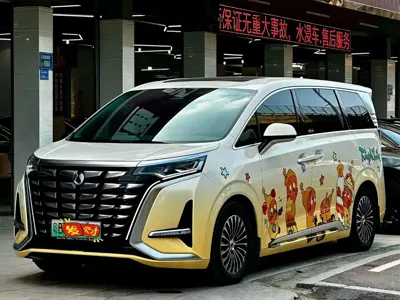 Denza Denza D9