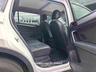 Volkswagen Tiguan L New Energy