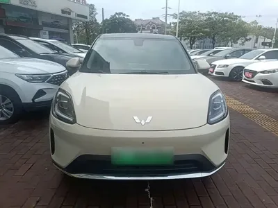 Wuling 缤果S