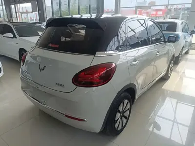 Wuling Bingo