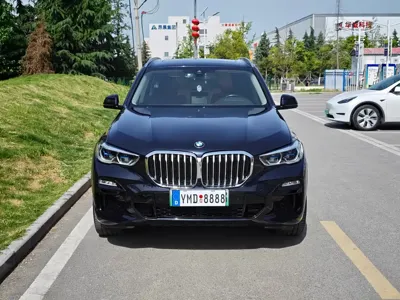 BMW X5 New Energy (Import)