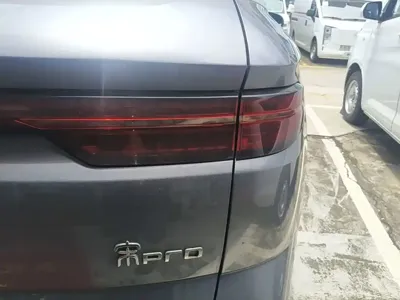 BYD Pro New Energy