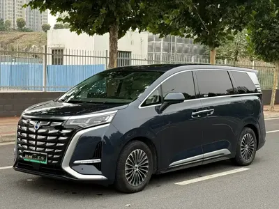 Denza Denza D9