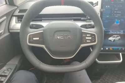 NETA AYA