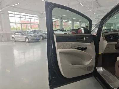 Denza Denza D9