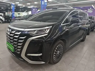 Denza Denza D9