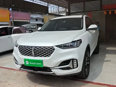 WEY Wey VV6