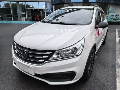 Baojun 310W