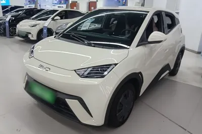 BYD Seagull