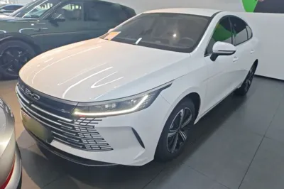 BYD Destroyer 05