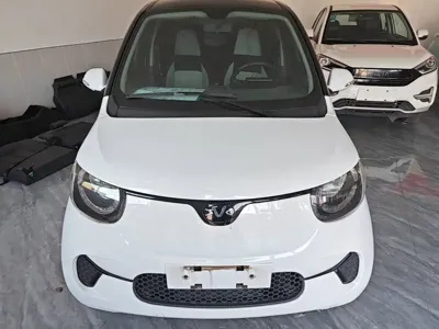 FERRAL EV