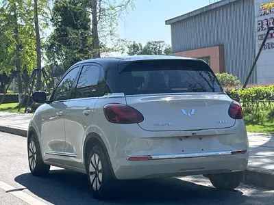 Wuling Bingo