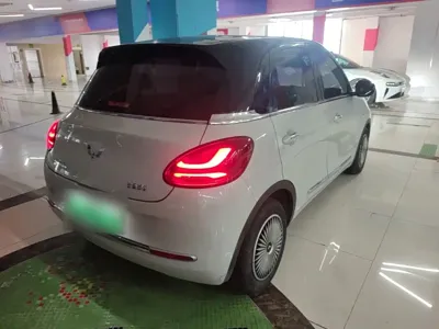 Wuling Bingo