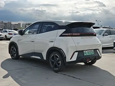 BYD Seagull