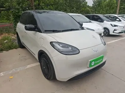 Wuling Bingo
