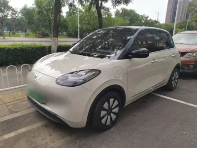 Wuling Bingo