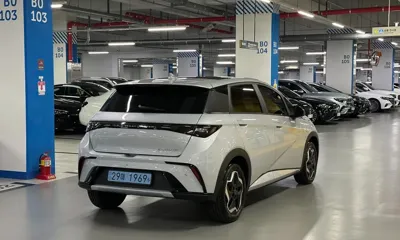 BYD Dolphin