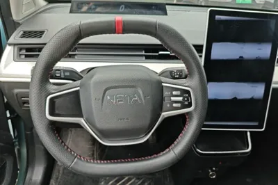 NETA V