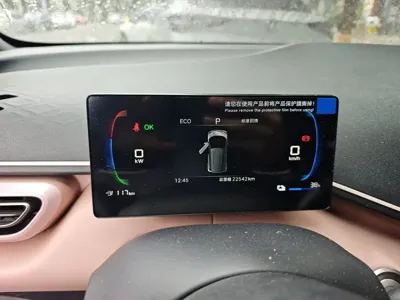 BYD Seagull